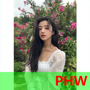 罗曼尼康帝葡萄园